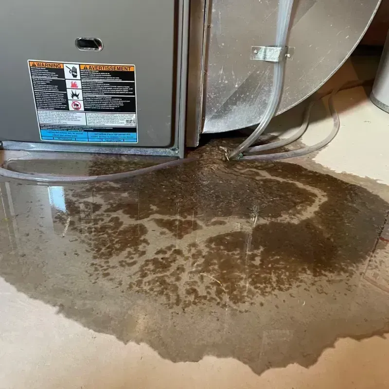 Appliance Leak Cleanup in White Hall, IL